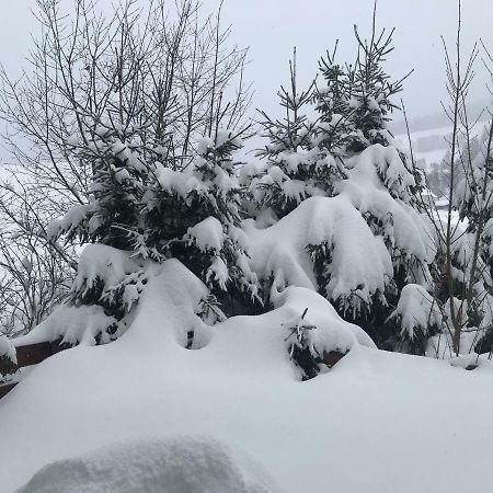 Haus Am Sonnenberg,Todtnauberg, Ferienwohnung 105, Direkt Am Skilift-Skipiste, Naehe Feldberg Luaran gambar